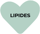 lipides